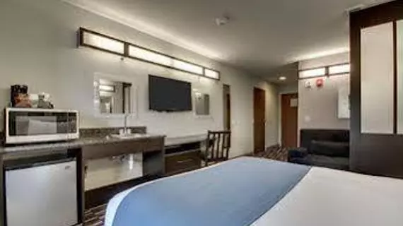 Microtel Inn & Suites by Wyndham Tuscaloosa | Alabama - Tuscaloosa (ve civarı) - Tuscaloosa