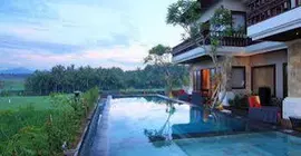 Uma Stana Villa | Bali - Ubud