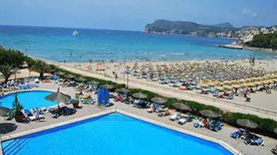 Hotel Beverly Playa | Balearic Adaları - Mayorka Adası - Calvia - Peguera