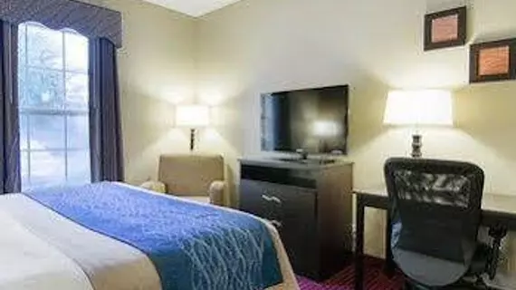 Comfort Inn West Little Rock | Arkansas - Little Rock (ve civarı) - Little Rock