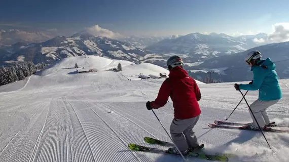 Landhaus Alpbach | Tirol - Kitzbühel District - Kufstein (ve civarı) - Alpbach