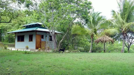 Tree Tops B and B Inn | Guanacaste - San Juanillo