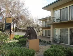 Angaston Mews Apartments