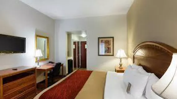 Comfort Inn & Suites Near Medical Center | Teksas - San Antonio (ve civarı) - San Antonio