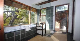 Thornybush Game Lodge | Limpopo - Maruleng - Hoedspruit