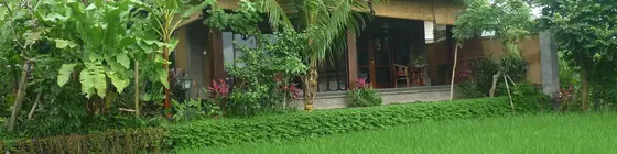 Bliss Bungalow | Bali - Ubud - Kedewatan