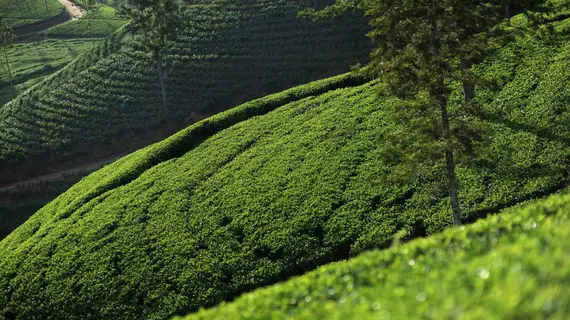 Ceylon Tea Trails | Merkez Vilayet - Nuwara Eliya Bölgesi - Hatton