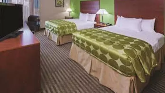 La Quinta Inn & Suites Cleveland | Teksas - Conroe (ve civarı) - Cleveland