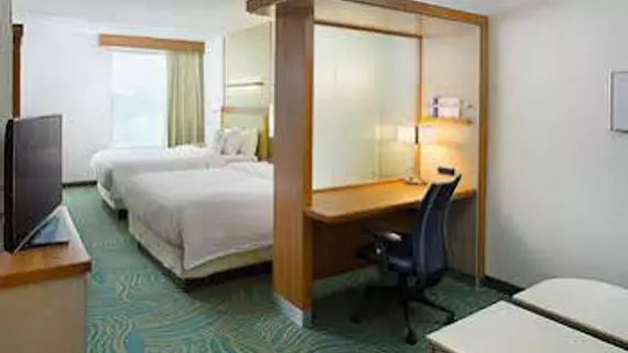 SpringHill Suites Dallas Lewisville | Teksas - Dallas (ve civarı) - Lewisville