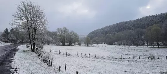 Hotel Haus am Steinschab | Kuzey Ren-Westfalia - Hochsauerlandkreis - Hallenberg