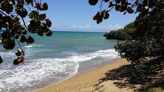 Mariposa | Puerto Plata (ili) - Puerto Plata (ve civarı) - Sosua