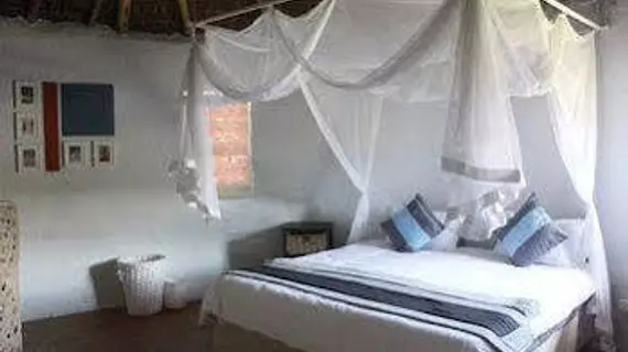 Swell Eco Lodge | Eastern Cape - Nyandeni