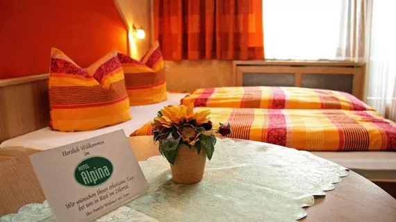 Hotel Alpina | Tirol - Schwaz District - Schwaz (ve civarı) - Ried im Zillertal