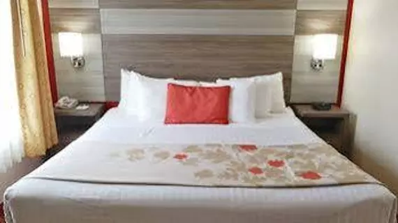 Hawthorn Suites Irving DFW South | Teksas - Dallas (ve civarı) - Irving