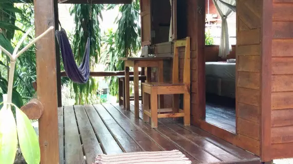 Dolphin Bungalows | Surat Thani (vilayet) - Koh Phangan