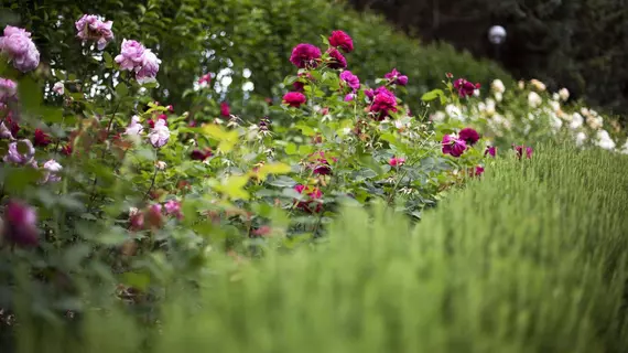 Garden Resort & Spa San Crispino | Umbria - Perugia (vilayet) - Assisi