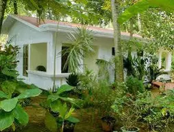 Jickys Nest | Kerala - Thiruvananthapuram Bölgesi - Varkala