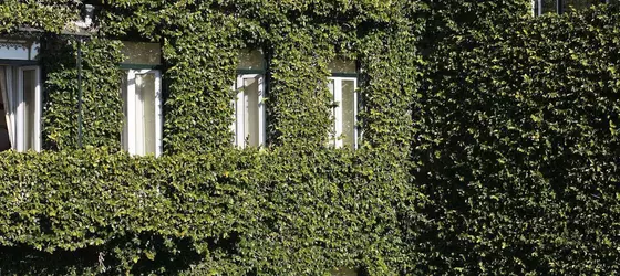 As Janelas Verdes | Lizbon Bölgesi - Lizbon  Bölgesi - Lizbon Eski Kent Bölgesi - Avenidas Novas