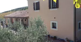 Tenuta Colverano | Umbria - Perugia (vilayet) - Montefalco