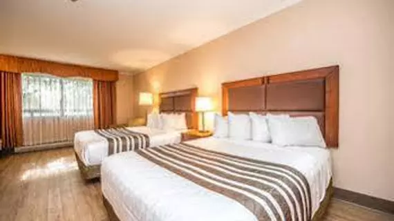 Best Western Plus Ottawa City Centre | Ontario - Ottawa (ve civarı) - Ottawa