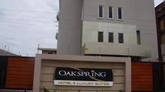 Oakspring Hotel & Luxury Suites | Lagos (ve civarı) - Lagos