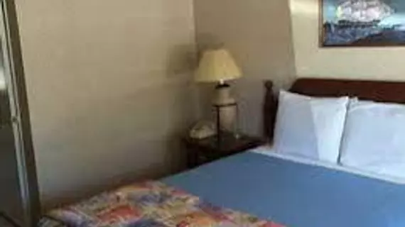 Alamo Inn & Suites | Kaliforniya - Orange County - Anaheim - Anaheim Resort