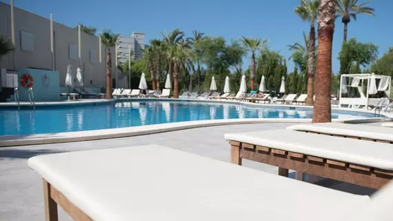 Club B Mallorca Apartments - Adults Only | Balearic Adaları - Mayorka Adası - Calvia - Magaluf