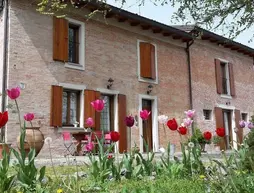 Agriturismo Ravaglia Grande | Emilia-Romagna - Bolonya (vilayet) - Dozza