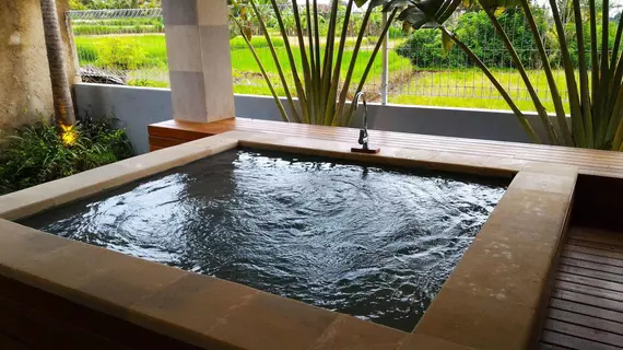 Panorama Ubud Private Villa | Bali - Ubud - Kedewatan