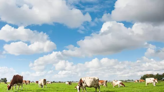 Huis ter Lucht | Kuzey Hollanda - Uithoorn - De Kwakel