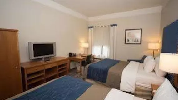 Comfort Inn & Suites Savannah Airport | Georgia - Savannah (ve civarı) - Savana