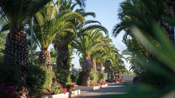 La Carabasse | Occitanie - Herault (bölge) - Beziers (ve civarı) - Vias