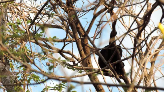 Angels Ecolodge | Guanacaste - Veintisiete de Abril