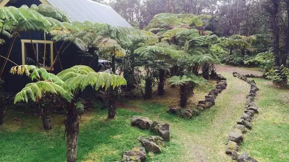 Volcano Hidden Cottage | Hawaii - Hawaii Adası - Volcano