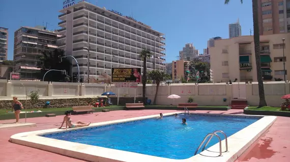 Blue Sky Apartment | Valencia Bölgesi - Alicante (vilayet) - Marina Baja - Benidorm