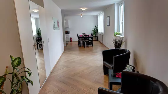 Gasser Apartments Vienna | Vienna (eyalet) - Viyana - Innere Stadt