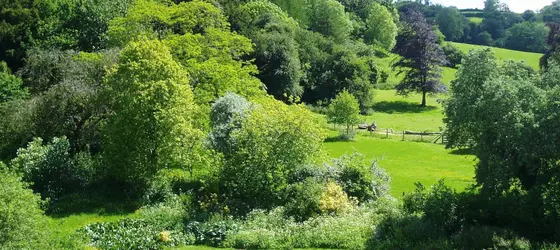 The Forest Country House B&B | Galler - Powys - Newtown