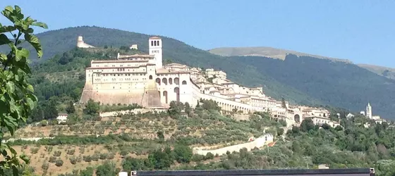 Agriturismo Il Girasole Assisi | Umbria - Perugia (vilayet) - Assisi