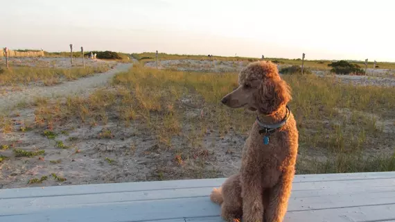 East Harbour Motel & Cottages | Massachusetts - North Truro