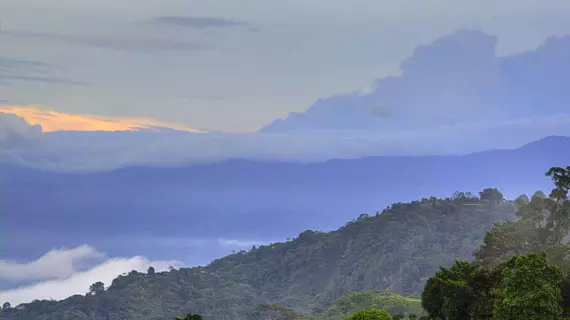 Las Cruces Biological Station | Puntarenas (ili) - San Vito