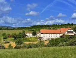 Hôtel Du Bollenberg | Grand Est - Haut-Rhin (bölge) - Westhalten