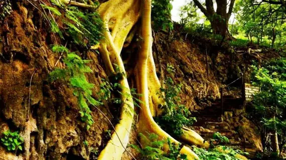 Agua Blanca | Michoacan - Jungapeo