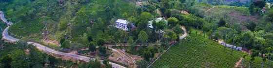 The Tea Tree Resort | Badulla Bölgesi - Ella