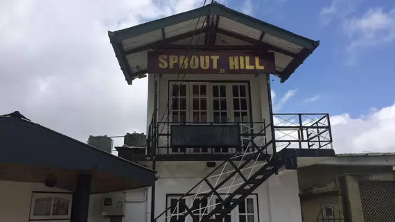 Guesthouse Sprout Hill | Merkez Vilayet - Nuwara Eliya Bölgesi - Nuwara Eliya