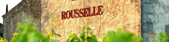 Chateau Rousselle | Nouvelle-Aquitaine - Gironde (bölge) - Saint-Ciers-de-Canesse