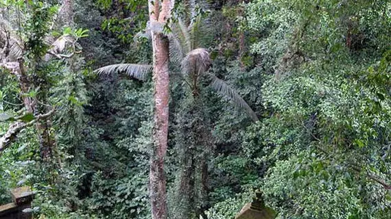 Ubud Dedari Villas | Bali - Ubud