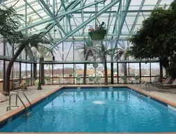 Wildwood Inn Tropical Dome and Theme Suites | Kentucky - Covington (ve civarı) - Floransa