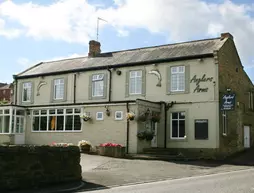 Anglers Arms | Northumberland (kontluk) - Choppington