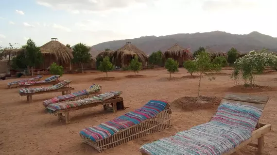 Bedouin Star | Güney Sina (il) - Nuweiba