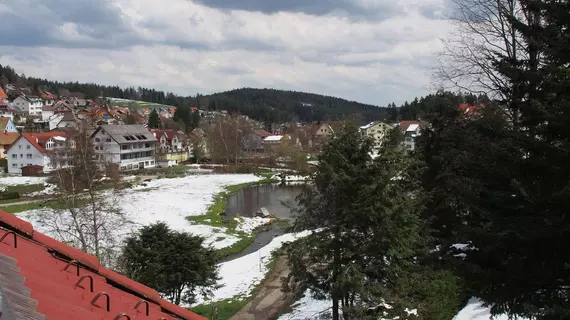 Andreas | Baden-Wuerttemberg - Schonach im Schwarzwald